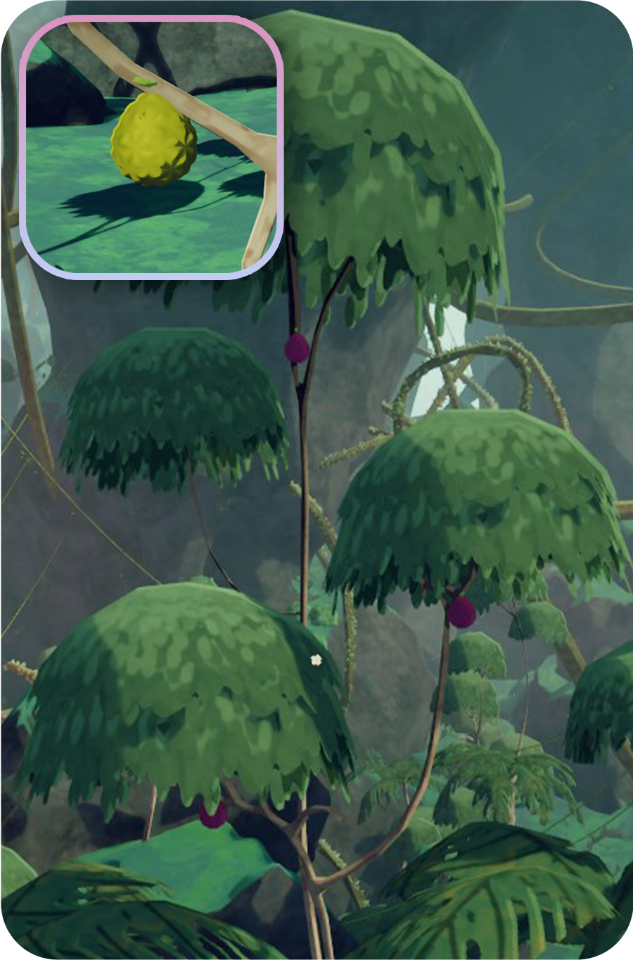 Fruit Trees